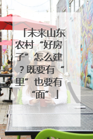 未来山东农村“好房子”怎么建？既要有“里”也要有“面”