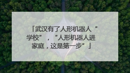 武汉有了人形机器人“学校”，“人形机器人进家庭，这是第一步”