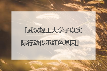 武汉轻工大学子以实际行动传承红色基因