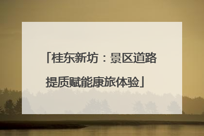 桂东新坊：景区道路提质赋能康旅体验