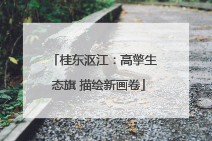 桂东沤江：高擎生态旗 描绘新画卷