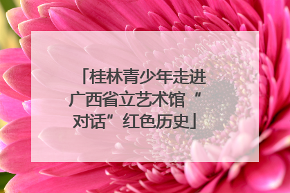 桂林青少年走进广西省立艺术馆“对话”红色历史