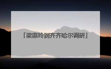 梁惠玲到齐齐哈尔调研