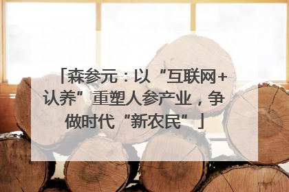 森参元：以“互联网+认养”重塑人参产业，争做时代“新农民”