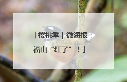 樱桃季｜微海报：福山“红了”！