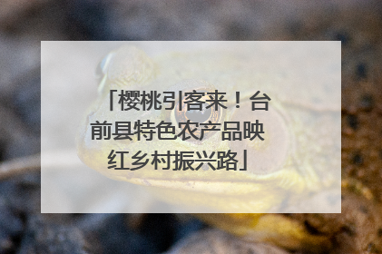 樱桃引客来!台前县特色农产品映红乡村振兴路