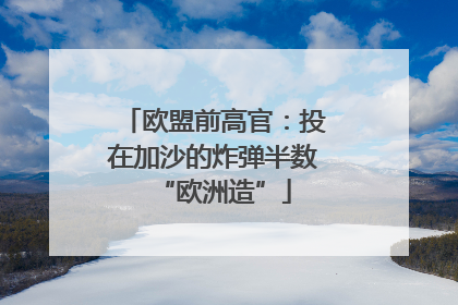 欧盟前高官：投在加沙的炸弹半数“欧洲造”