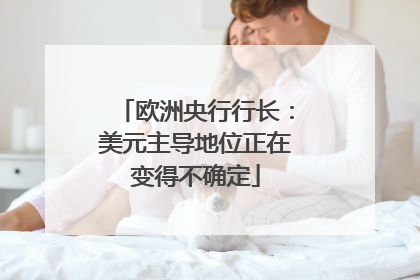 欧洲央行行长：美元主导地位正在变得不确定