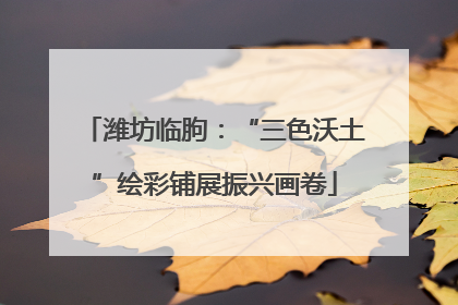 潍坊临朐：“三色沃土”绘彩铺展振兴画卷