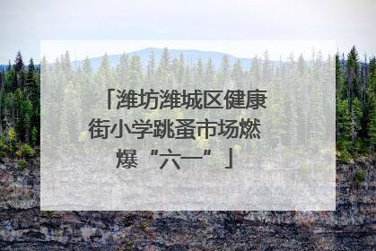 潍坊潍城区健康街小学跳蚤市场燃爆“六一”
