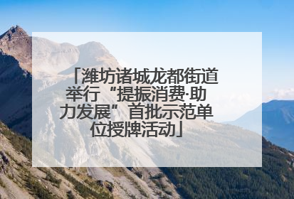 潍坊诸城龙都街道举行“提振消费·助力发展”首批示范单位授牌活动