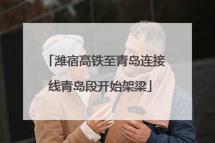 潍宿高铁至青岛连接线青岛段开始架梁