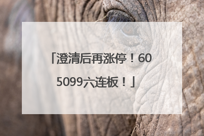 澄清后再涨停！605099六连板！