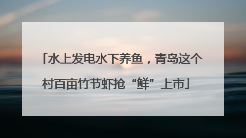 水上发电水下养鱼，青岛这个村百亩竹节虾抢“鲜”上市