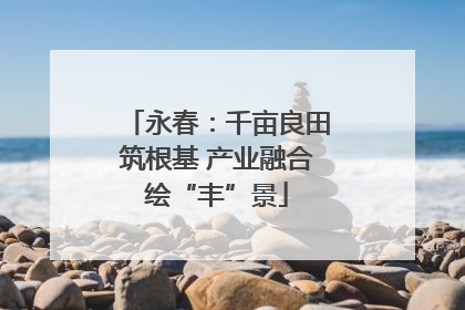 永春：千亩良田筑根基 产业融合绘“丰”景