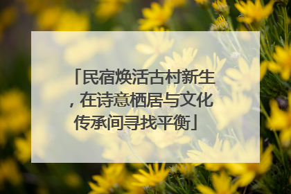 民宿焕活古村新生，在诗意栖居与文化传承间寻找平衡