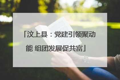 汶上县：党建引领聚动能 组团发展促共富