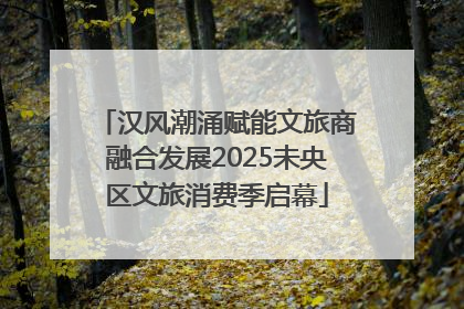 汉风潮涌赋能文旅商融合发展2025未央区文旅消费季启幕