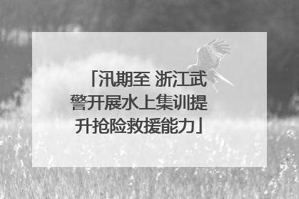 汛期至 浙江武警开展水上集训提升抢险救援能力