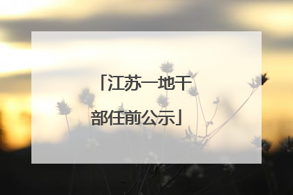 江苏一地干部任前公示