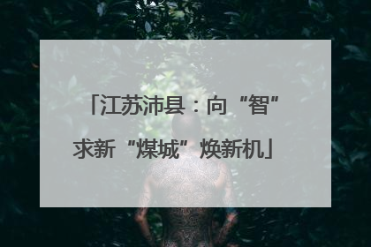 江苏沛县：向“智”求新“煤城”焕新机