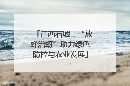 江西石城：“放蜂治蚜”助力绿色防控与农业发展
