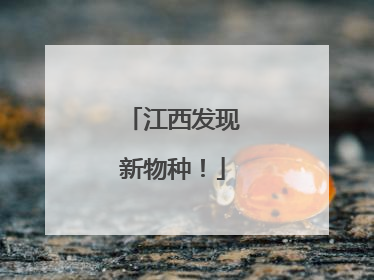 江西发现新物种！