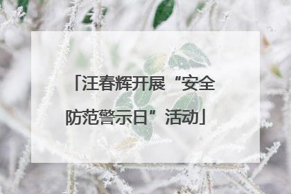 汪春辉开展“安全防范警示日”活动