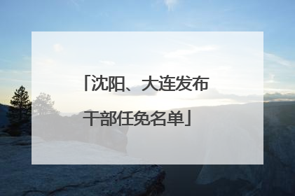 沈阳、大连发布干部任免名单