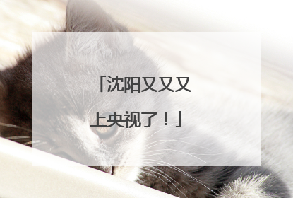 沈阳又又又上央视了！
