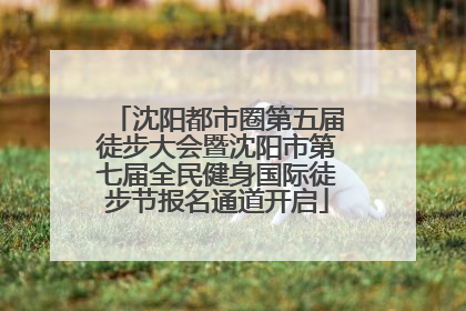 沈阳都市圈第五届徒步大会暨沈阳市第七届全民健身国际徒步节报名通道开启