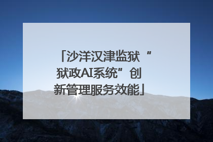 沙洋汉津监狱“狱政AI系统”创新管理服务效能