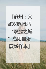 沧州：文武双脉激活“双遗之城”高质量发展新样本