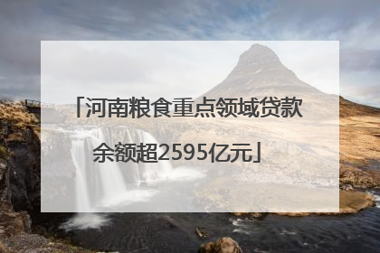 河南粮食重点领域贷款余额超2595亿元