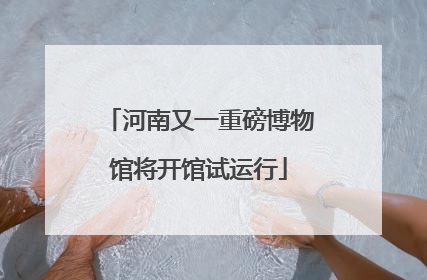 河南又一重磅博物馆将开馆试运行