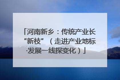 河南新乡：传统产业长“新枝”（走进产业地标·发展一线探变化）