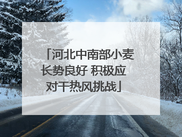 河北中南部小麦长势良好 积极应对干热风挑战
