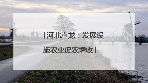 河北卢龙：发展设施农业促农增收