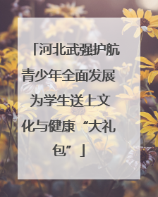 河北武强护航青少年全面发展 为学生送上文化与健康“大礼包”