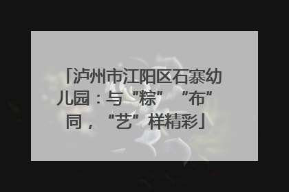 泸州市江阳区石寨幼儿园：与“粽”“布”同，“艺”样精彩