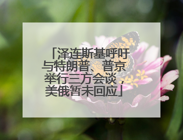 泽连斯基呼吁与特朗普、普京举行三方会谈，美俄暂未回应