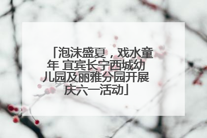 泡沫盛夏，戏水童年 宜宾长宁西城幼儿园及丽雅分园开展庆六一活动