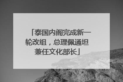 泰国内阁完成新一轮改组，总理佩通坦兼任文化部长