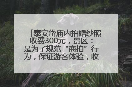 泰安岱庙内拍婚纱照收费300元，景区：是为了规范“商拍”行为，保证游客体验，收取费用全部上交国库