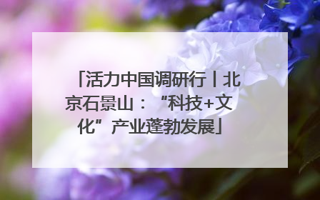 活力中国调研行丨北京石景山：“科技+文化”产业蓬勃发展