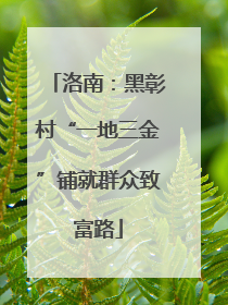 洛南：黑彰村“一地三金”铺就群众致富路