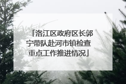 洛江区政府区长郭宁带队赴河市镇检查重点工作推进情况
