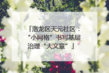 洛龙区天元社区：“小网格”书写基层治理“大文章”