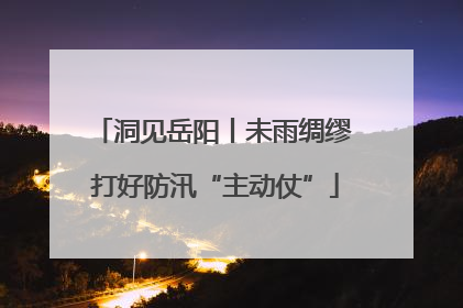 洞见岳阳丨未雨绸缪 打好防汛“主动仗”