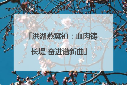 洪湖燕窝镇：血肉铸长堤 奋进谱新曲